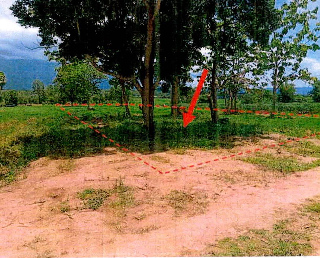 รูปที่ดินว่างเปล่า ใหม่พัฒนา เกาะคา ลำปาง