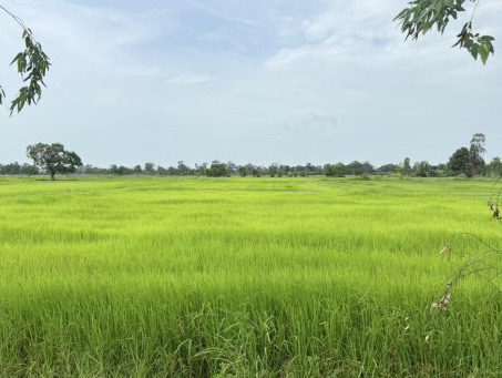 รูปที่ดินว่างเปล่า คำไฮ พนมไพร ร้อยเอ็ด