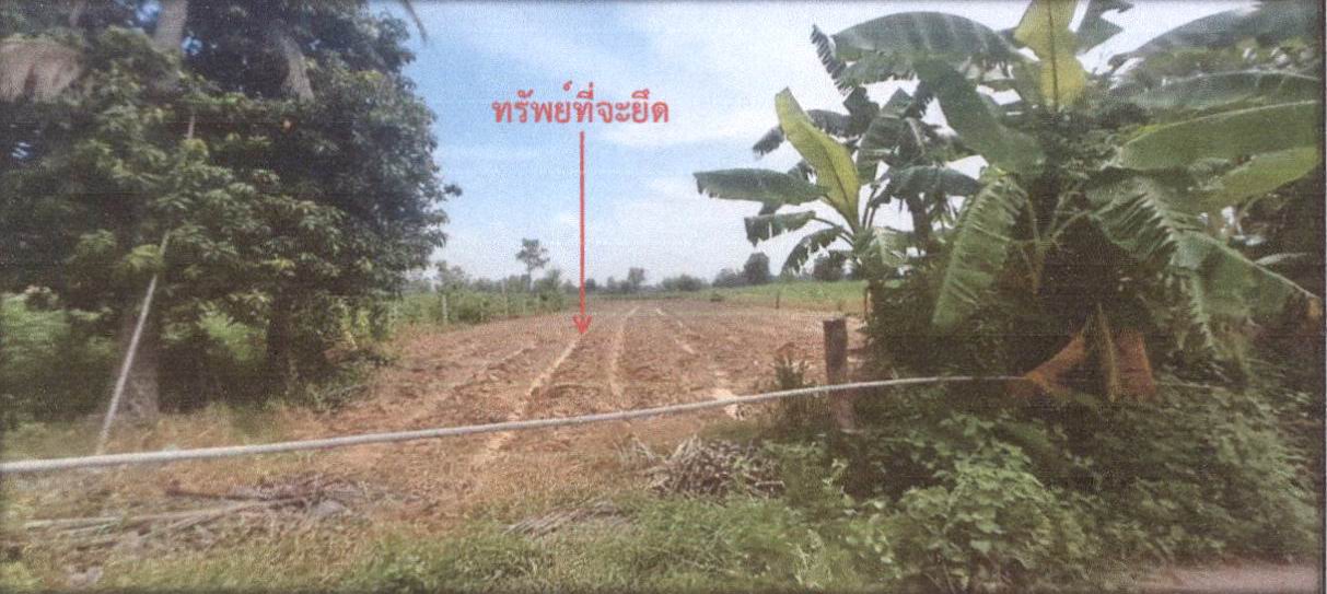 รูปที่ดินว่างเปล่า โคกเครือ หนองกุงศรี กาฬสินธุ์