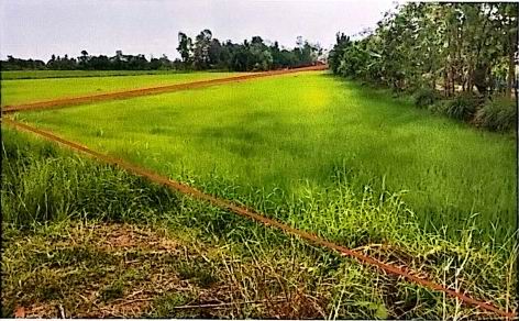 รูปที่ดินว่างเปล่า ธัญญา กมลาไสย กาฬสินธุ์