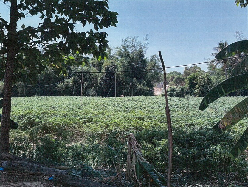 รูปที่ดินว่างเปล่า หนองฮาง ม่วงสามสิบ อุบลราชธานี