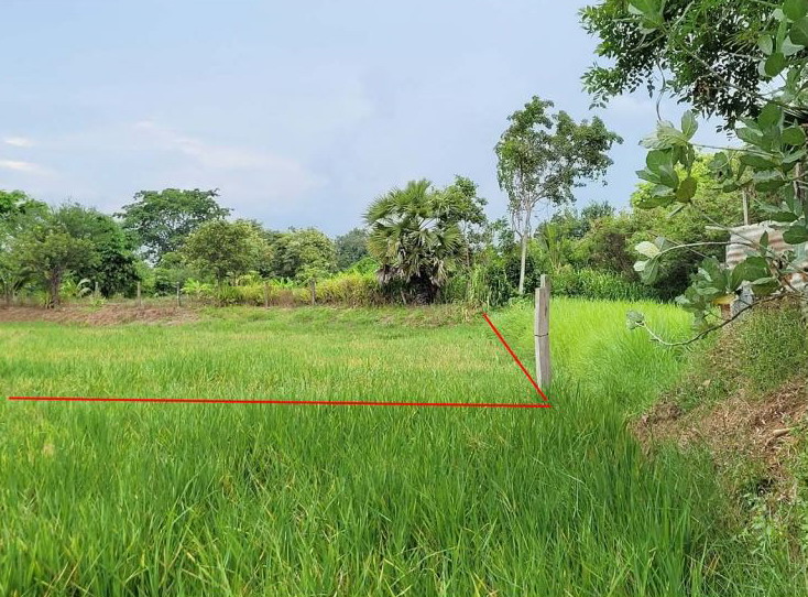 รูปที่ดินว่างเปล่า เขื่อน โกสุมพิสัย มหาสารคาม