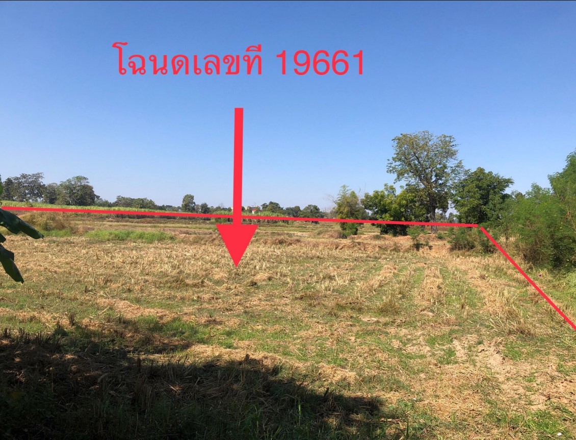 รูปที่ดินว่างเปล่า ม่วงหวาน น้ำพอง ขอนแก่น