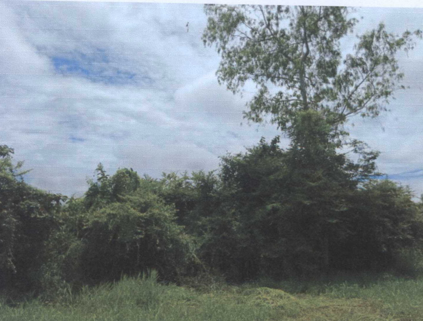 รูปที่ดินว่างเปล่า แวงน่าง เมืองมหาสารคาม มหาสารคาม