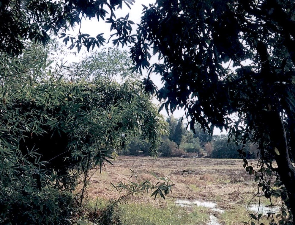 รูปที่ดินว่างเปล่า หลักเมือง กมลาไสย กาฬสินธุ์