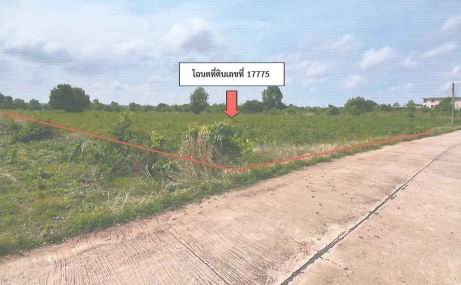 รูปที่ดินว่างเปล่า สงเปลือย นามน กาฬสินธุ์