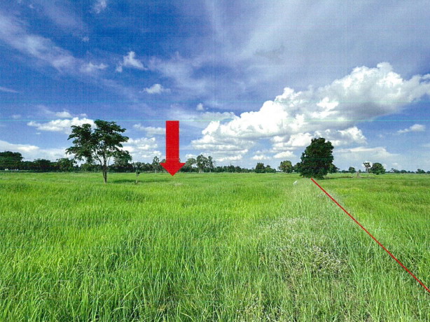 รูปที่ดินว่างเปล่า สระบัว ปทุมรัตต์ ร้อยเอ็ด