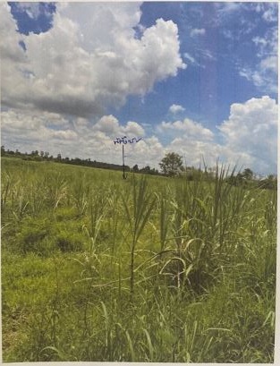 รูปที่ดินว่างเปล่า บุ่งแก้ว โนนสะอาด อุดรธานี