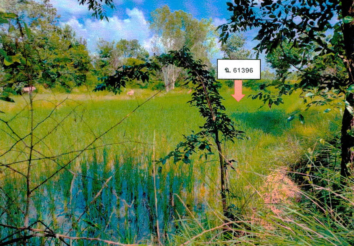 รูปที่ดินว่างเปล่า บุ่ง เมืองอำนาจเจริญ อำนาจเจริญ