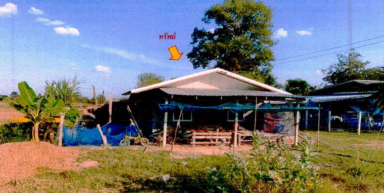 รูปที่ดินพร้อมสิ่งปลูกสร้าง เมืองจันทร์ เมืองจันทร์ ศรีสะเกษ
