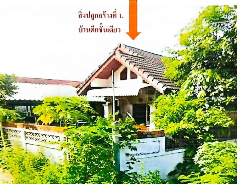 รูปที่ดินพร้อมสิ่งปลูกสร้าง เหมืองง่า เมืองลำพูน ลำพูน