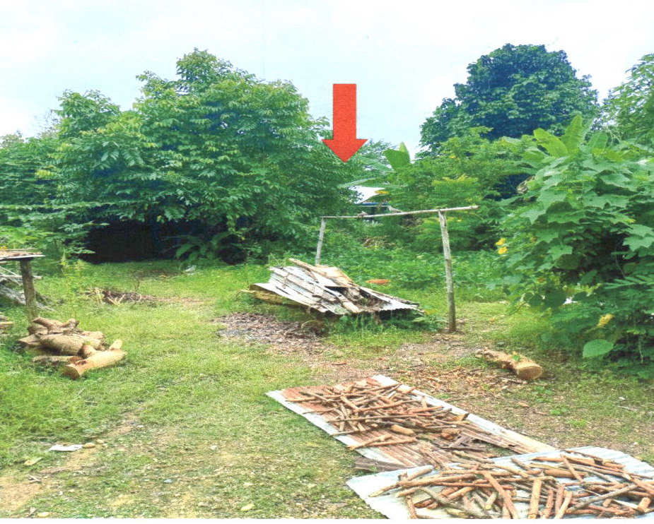 รูปที่ดินว่างเปล่า บ้านถิ่น เมืองแพร่ แพร่