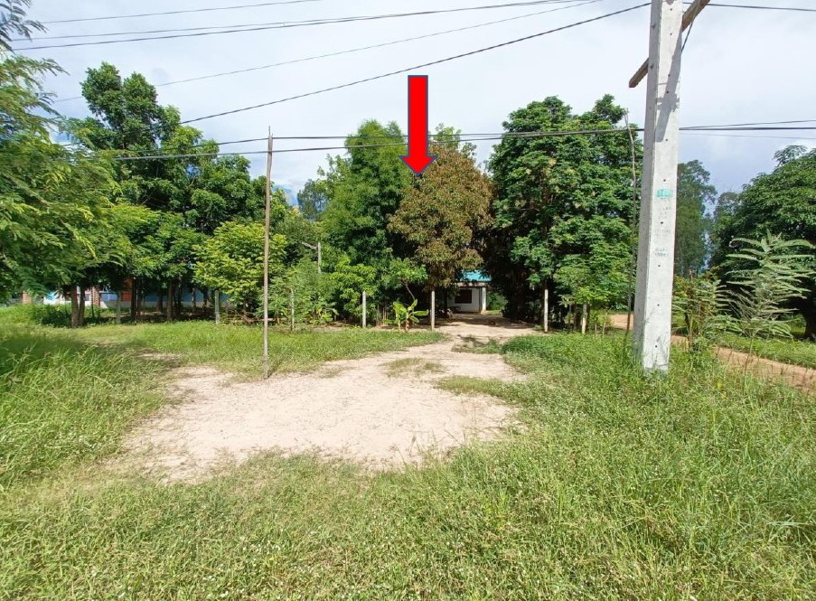 รูปที่ดินพร้อมสิ่งปลูกสร้าง นาเชิงคีรี คีรีมาศ สุโขทัย