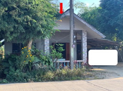 รูปที่ดินพร้อมสิ่งปลูกสร้าง แม่นาวาง แม่อาย เชียงใหม่