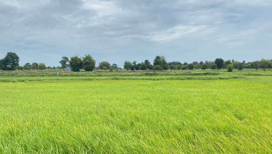 รูปที่ดินว่างเปล่า สำโรง หนองสองห้อง ขอนแก่น