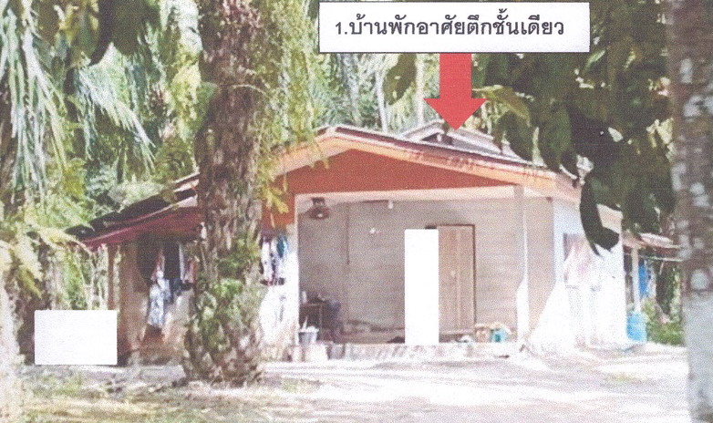 รูปที่ดินพร้อมสิ่งปลูกสร้าง นากะชะ ฉวาง นครศรีธรรมราช