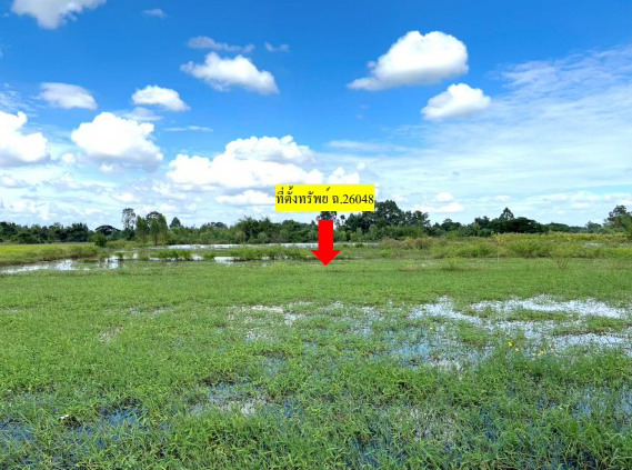 รูปที่ดินว่างเปล่า ชนบท ชนบท ขอนแก่น