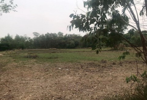 รูปที่ดินว่างเปล่า บ้านข่า ศรีสงคราม นครพนม