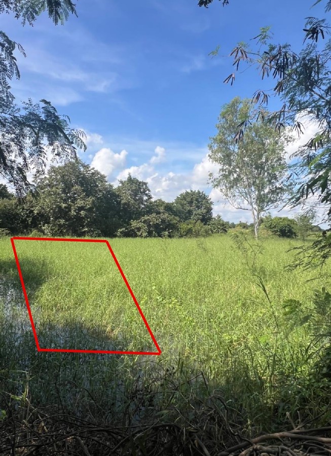 รูปที่ดินว่างเปล่า สะแกกรัง เมืองอุทัยธานี อุทัยธานี