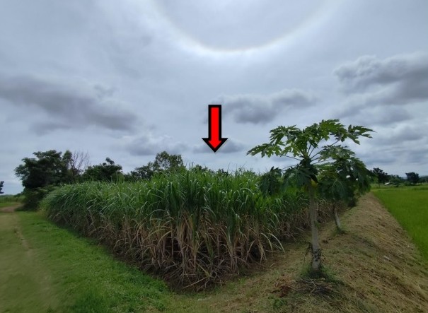 รูปที่ดินว่างเปล่า หนองขาม แก้งคร้อ ชัยภูมิ