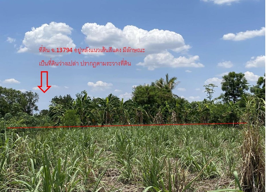 รูปที่ดินว่างเปล่า หินดาด ห้วยแถลง นครราชสีมา