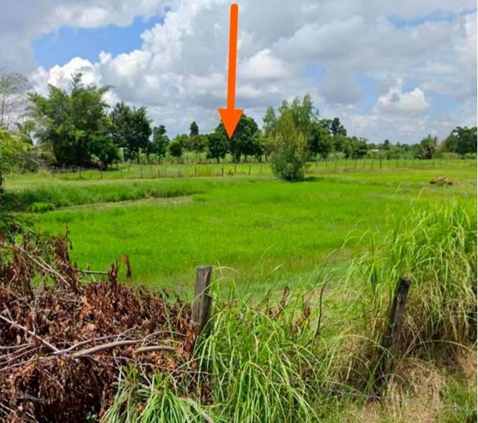 รูปที่ดินว่างเปล่า กุดรัง กุดรัง มหาสารคาม