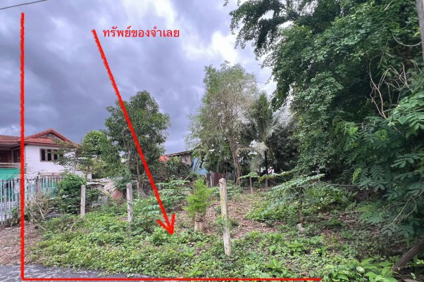 รูปที่ดินว่างเปล่า หนองอ้อ ศรีสัชนาลัย สุโขทัย