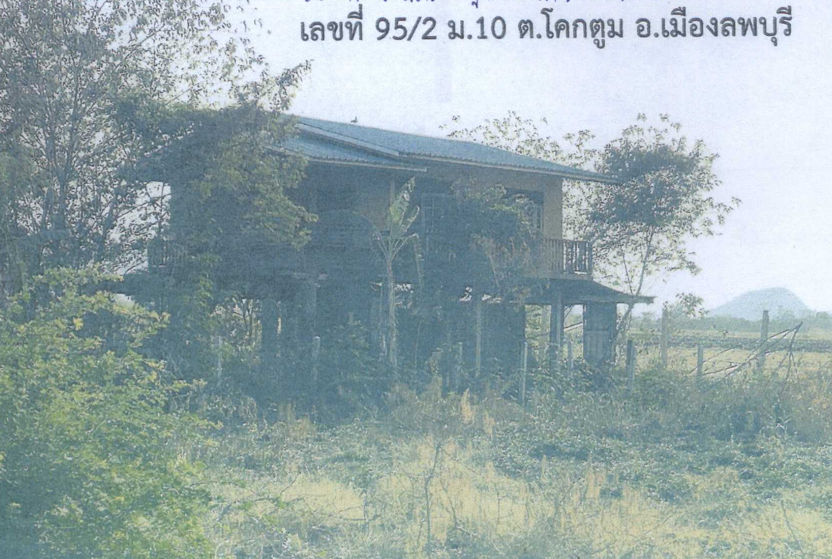 รูปที่ดินพร้อมสิ่งปลูกสร้าง โคกตูม เมืองลพบุรี ลพบุรี