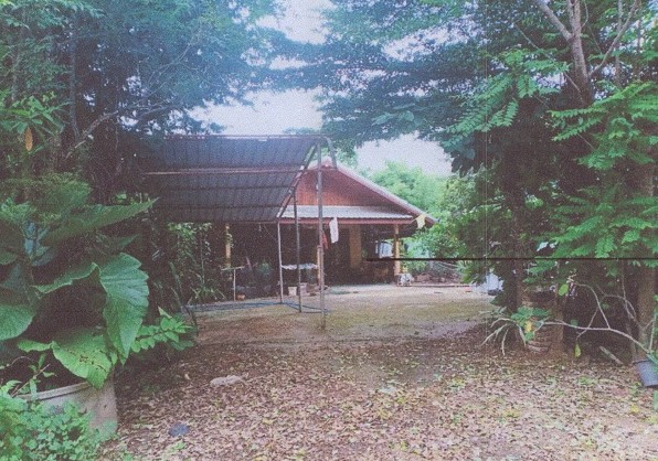 รูปที่ดินพร้อมสิ่งปลูกสร้าง นิคมพัฒนา โนนสัง หนองบัวลำภู
