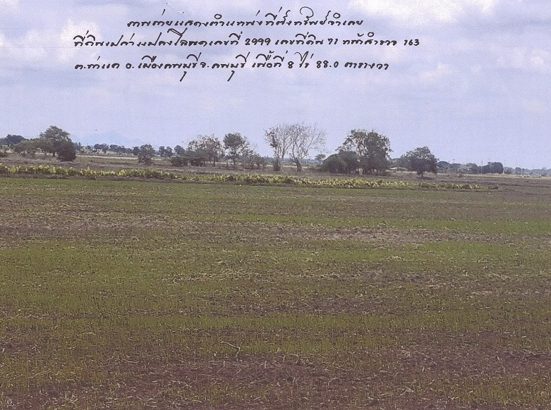 รูปที่ดินว่างเปล่า ท่าแค เมืองลพบุรี ลพบุรี