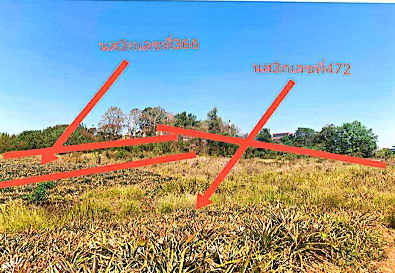 รูปที่ดินว่างเปล่า บ้านคา บ้านคา ราชบุรี