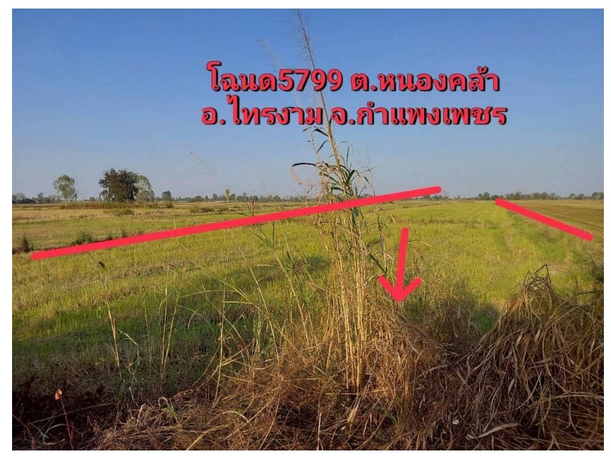 รูปที่ดินว่างเปล่า หนองคล้า ไทรงาม กำแพงเพชร