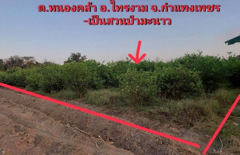 รูปที่ดินว่างเปล่า หนองคล้า ไทรงาม กำแพงเพชร