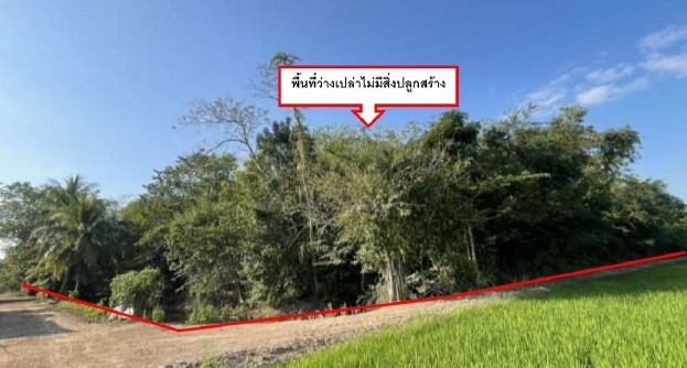 รูปที่ดินว่างเปล่า ทับหมัน ตะพานหิน พิจิตร