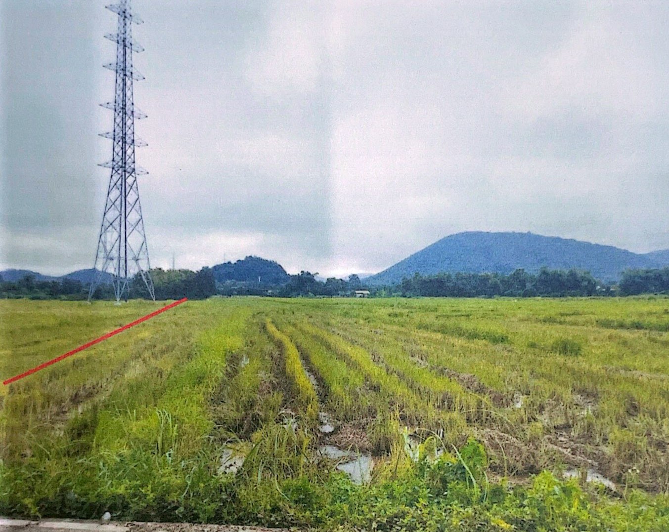 รูปที่ดินว่างเปล่า ศรีบัวบาน เมืองลำพูน ลำพูน