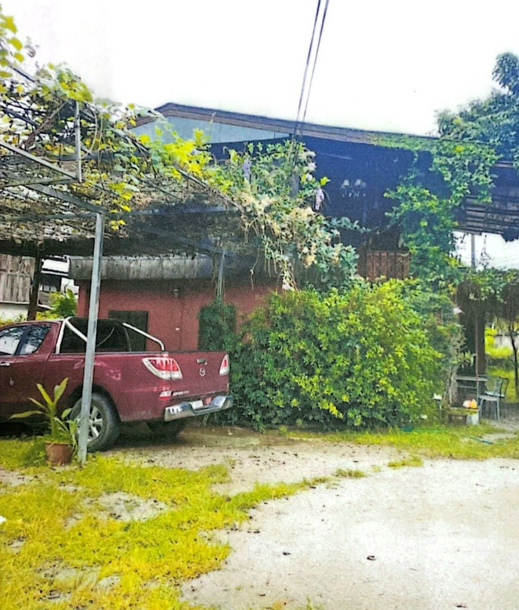 รูปที่ดินพร้อมสิ่งปลูกสร้าง ศรีบัวบาน เมืองลำพูน ลำพูน