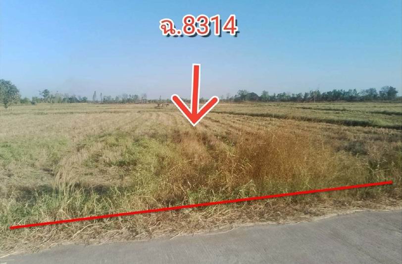 รูปที่ดินว่างเปล่า บ้านโต้น พระยืน ขอนแก่น