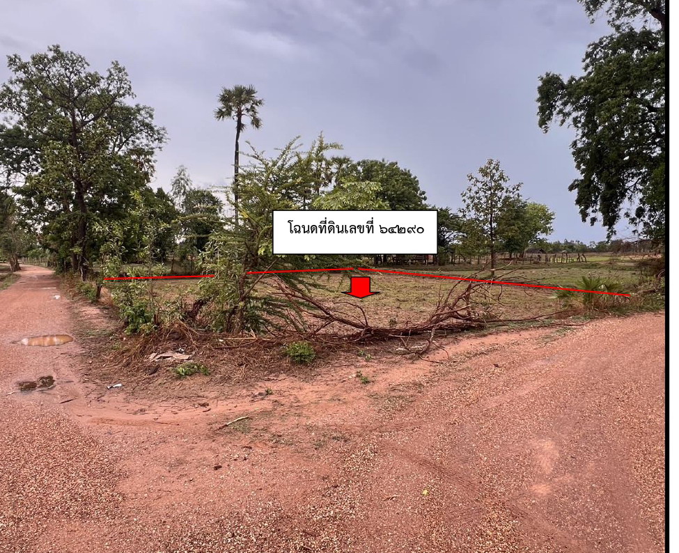 รูปที่ดินว่างเปล่า ขามเฒ่าพัฒนา กันทรวิชัย มหาสารคาม