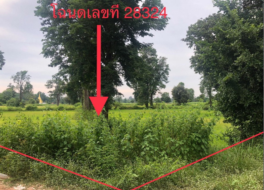 รูปที่ดินว่างเปล่า โพนงาม กมลาไสย กาฬสินธุ์