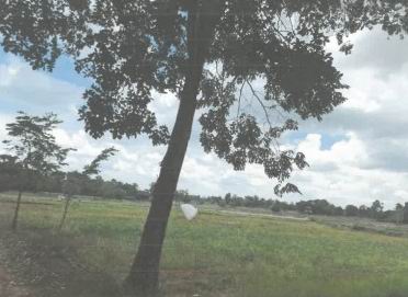รูปที่ดินว่างเปล่า กุดหว้า กุฉินารายณ์ กาฬสินธุ์