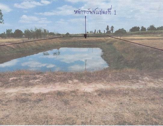 รูปที่ดินว่างเปล่า เลิงแฝก กุดรัง มหาสารคาม