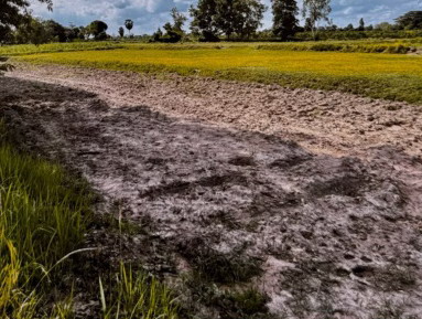 รูปที่ดินว่างเปล่า คำใหญ่ ห้วยเม็ก กาฬสินธุ์