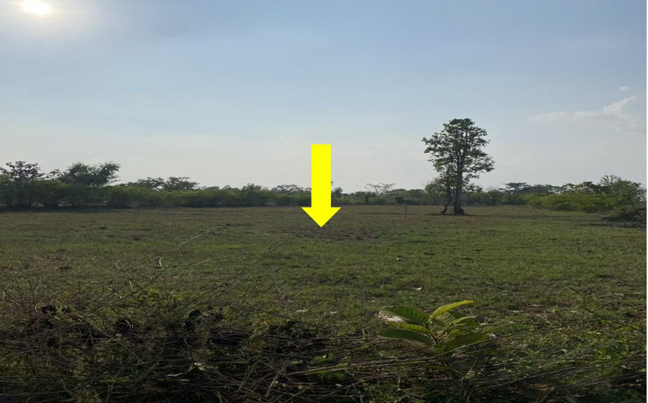 รูปที่ดินว่างเปล่า โพนเมือง เหล่าเสือโก้ก อุบลราชธานี