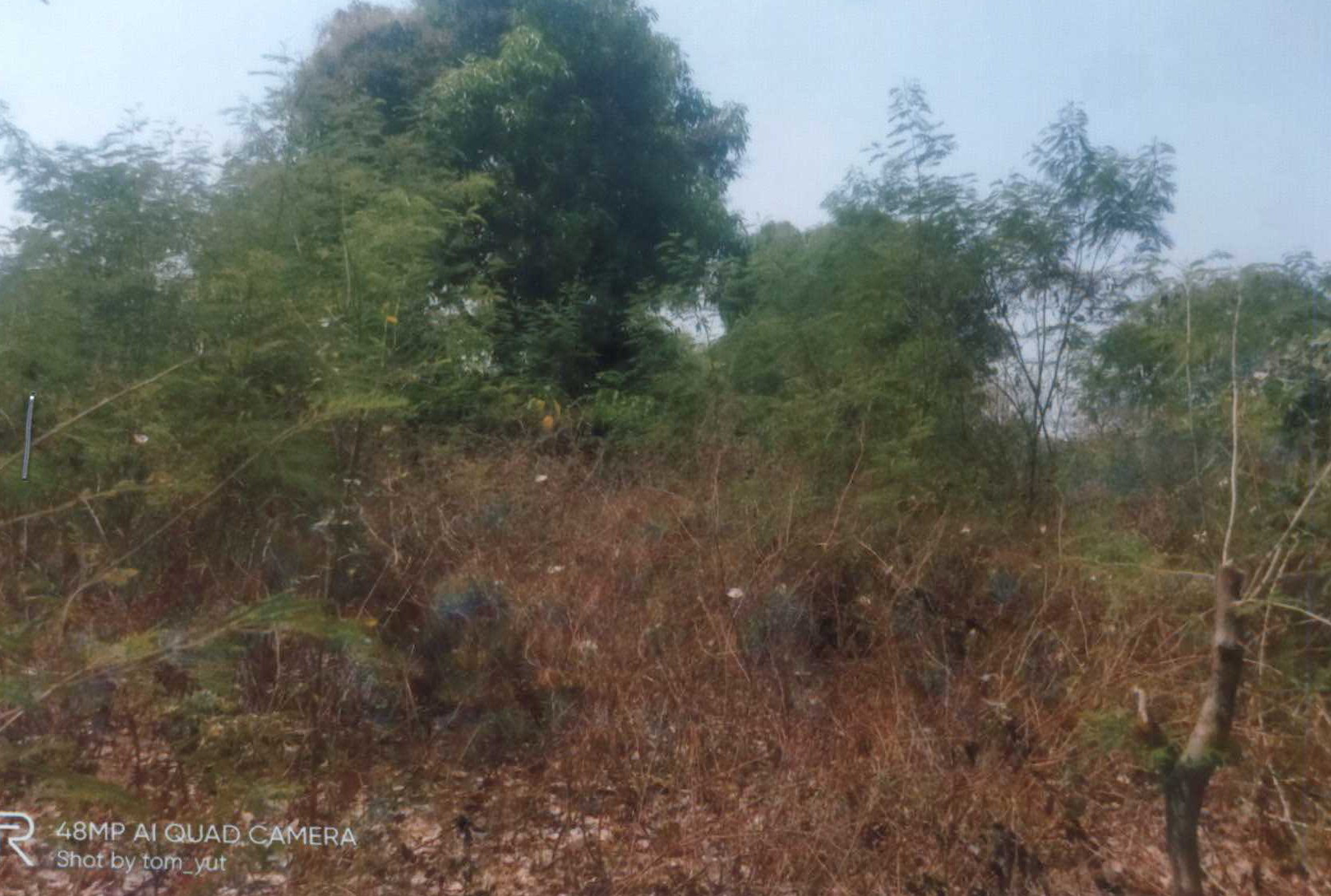 รูปที่ดินว่างเปล่า หัวดง นาดูน มหาสารคาม