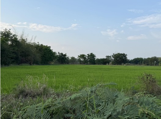 รูปที่ดินว่างเปล่า พระลับ เมืองขอนแก่น ขอนแก่น