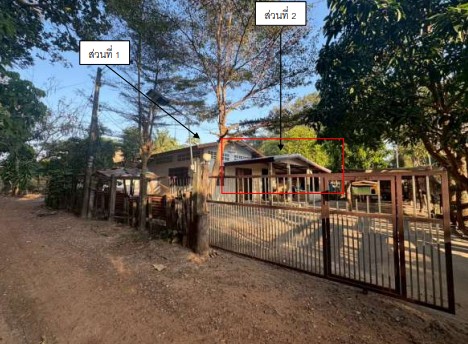 รูปที่ดินพร้อมสิ่งปลูกสร้าง หนองบก เหล่าเสือโก้ก อุบลราชธานี