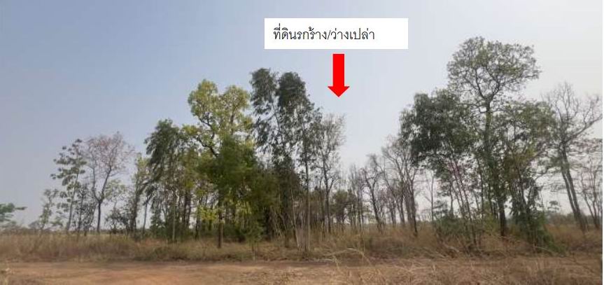 รูปที่ดินว่างเปล่า บ้านชัย บ้านดุง อุดรธานี