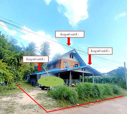 รูปที่ดินพร้อมสิ่งปลูกสร้าง สองคอน โพธิ์ไทร อุบลราชธานี