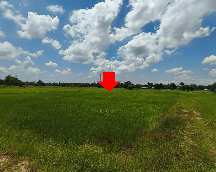 รูปที่ดินว่างเปล่า แวงน่าง เมืองมหาสารคาม มหาสารคาม