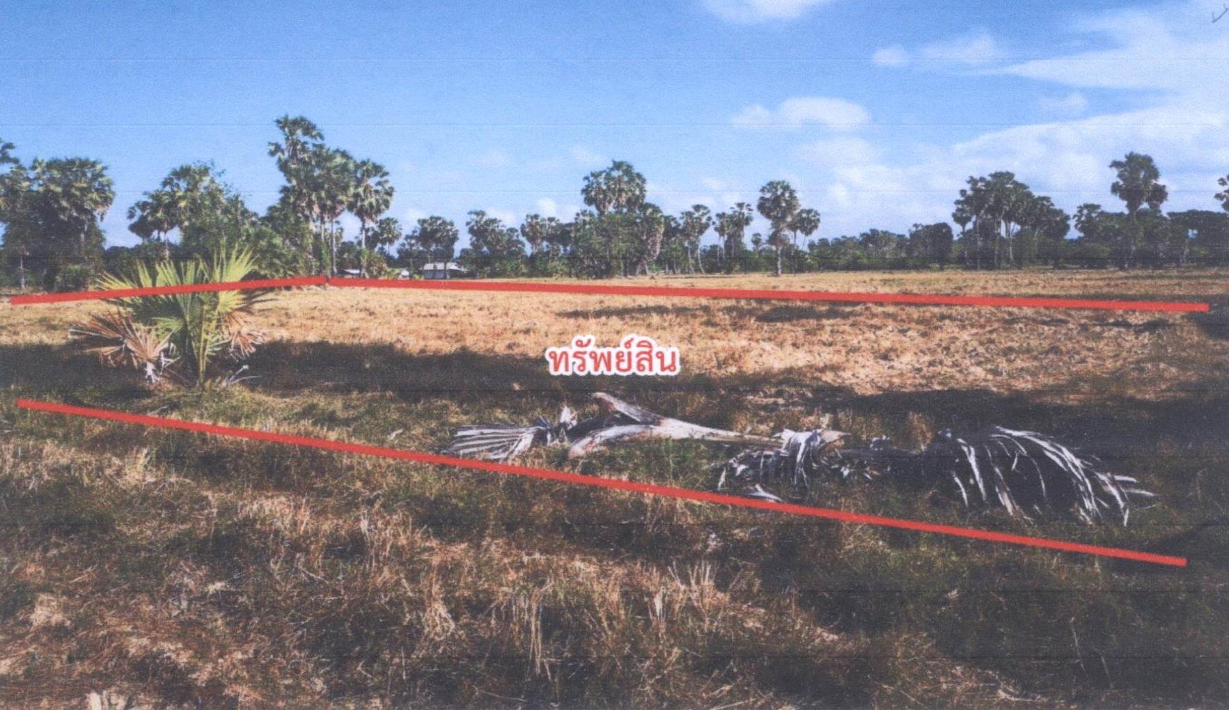 รูปที่ดินว่างเปล่า บ่อแดง สทิงพระ สงขลา